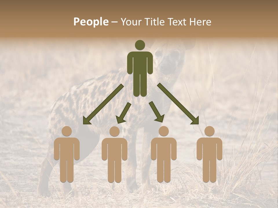 Zambia Predator Nationalpark PowerPoint Template