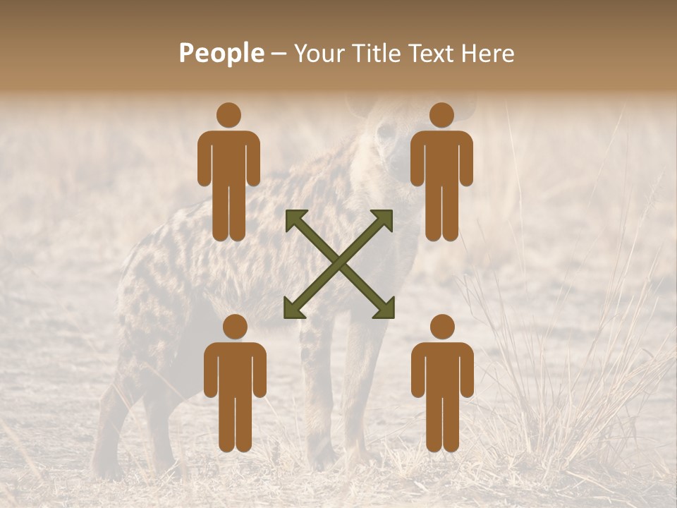 Zambia Predator Nationalpark PowerPoint Template