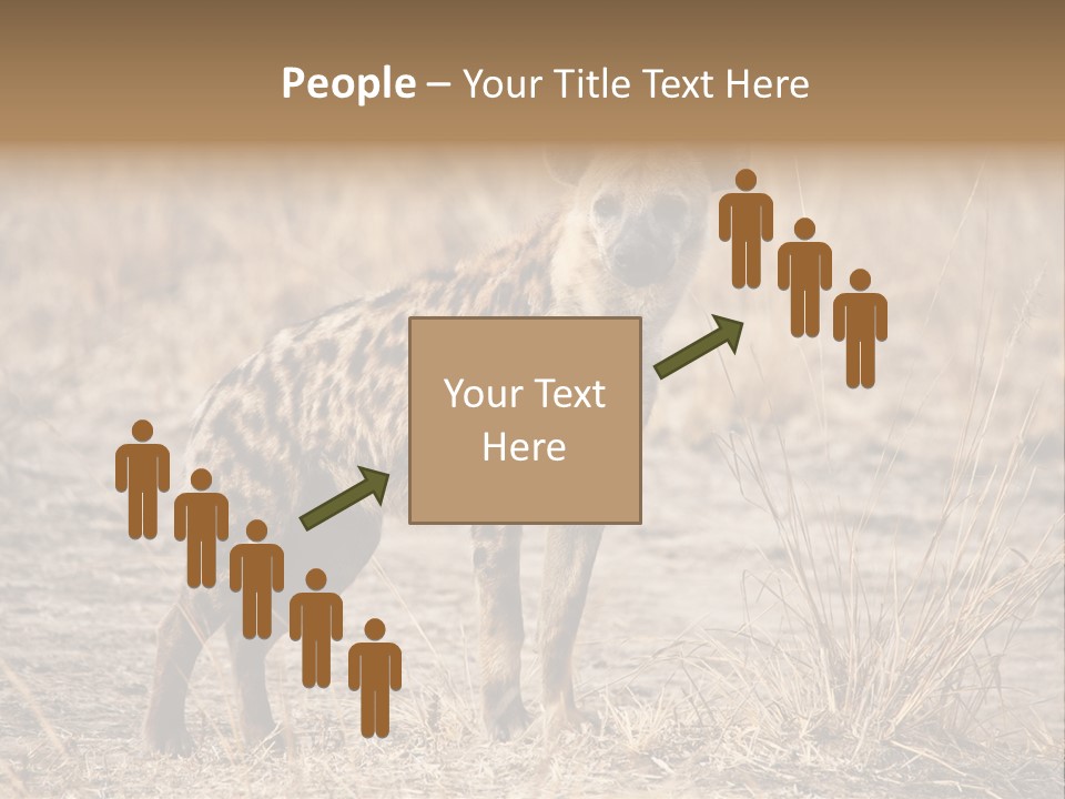 Zambia Predator Nationalpark PowerPoint Template