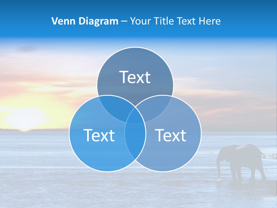 Male Modern Luxury PowerPoint Template