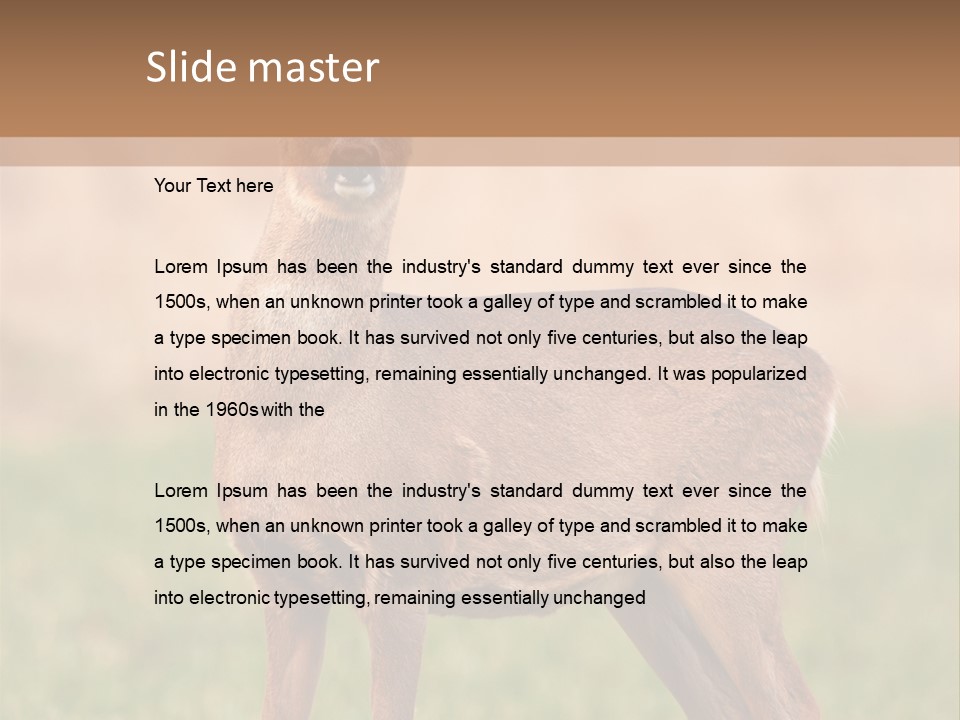 Roe Bock Female PowerPoint Template