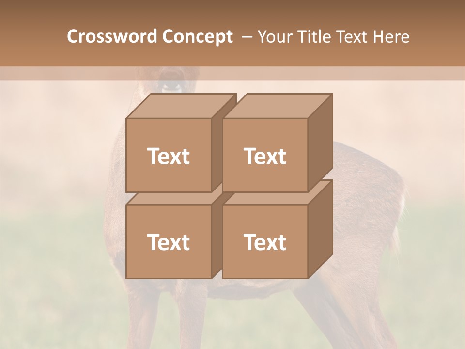 Roe Bock Female PowerPoint Template