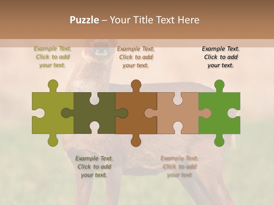 Roe Bock Female PowerPoint Template