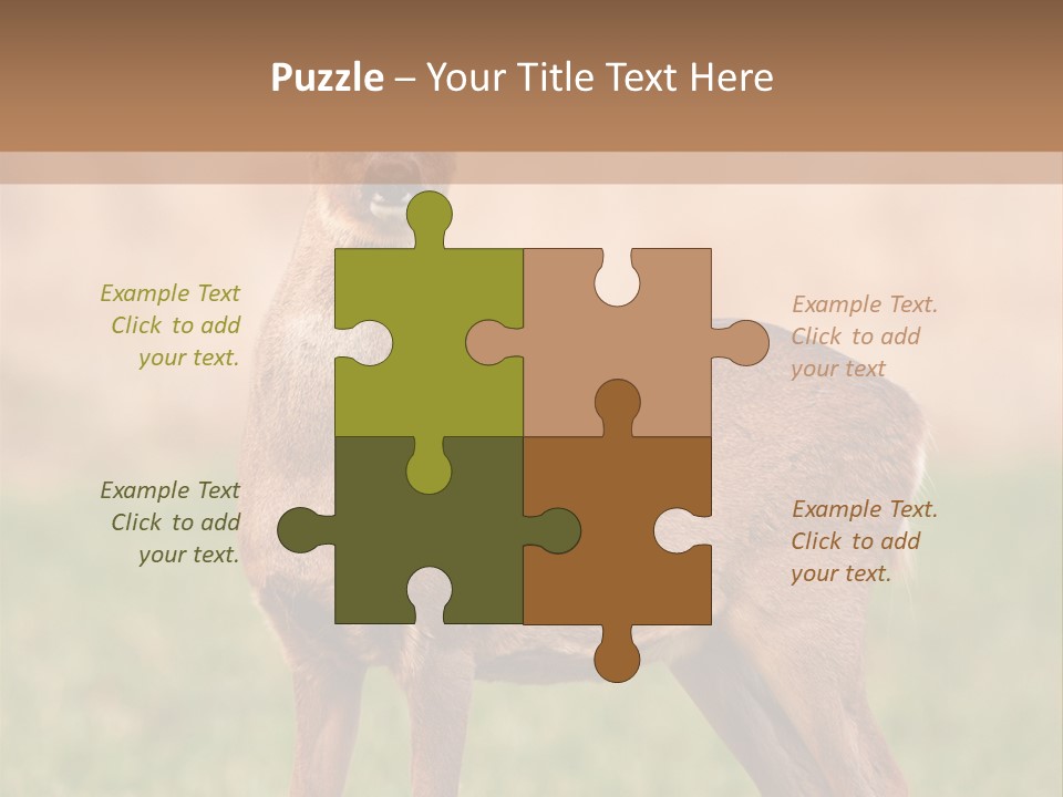 Roe Bock Female PowerPoint Template