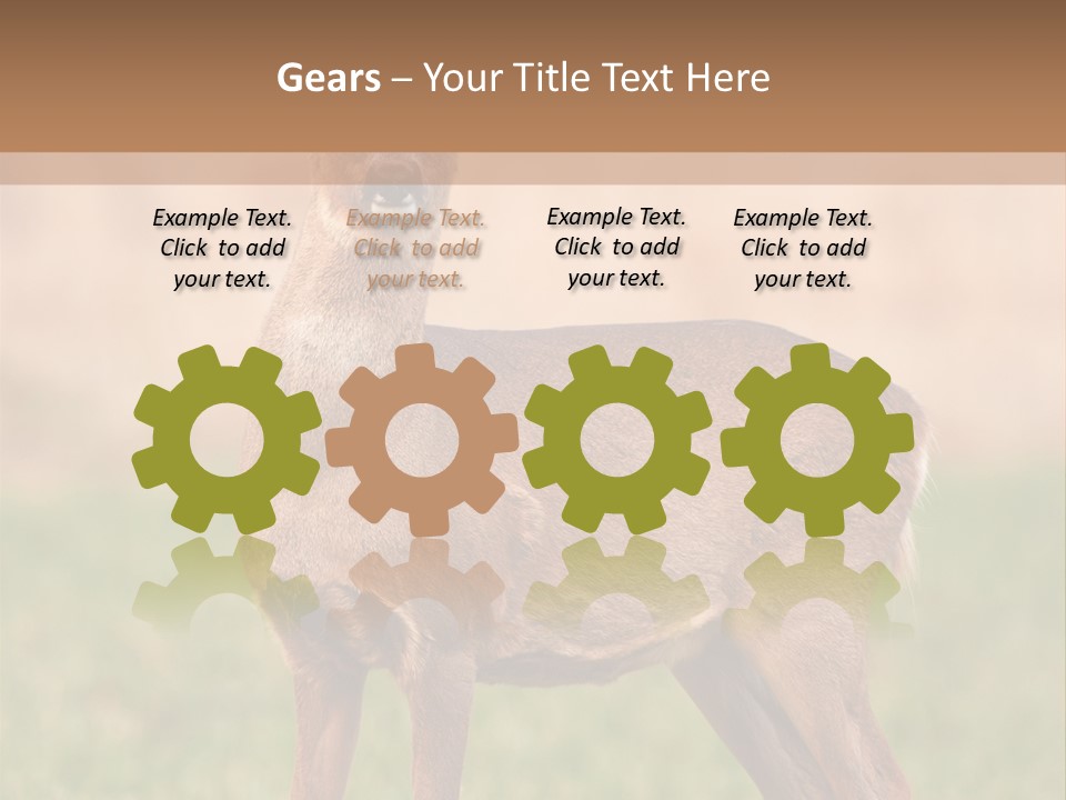Roe Bock Female PowerPoint Template