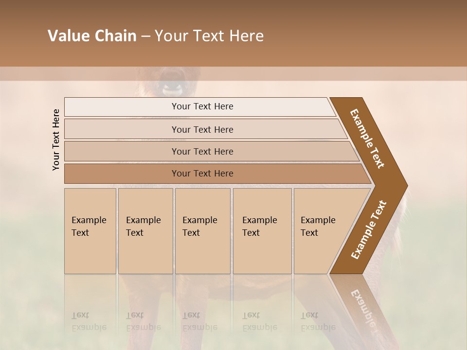 Roe Bock Female PowerPoint Template