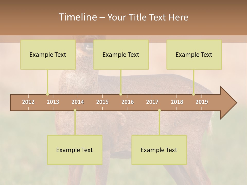 Roe Bock Female PowerPoint Template