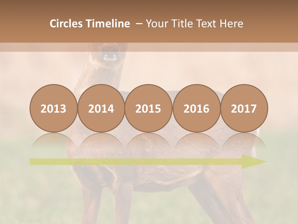 Roe Bock Female PowerPoint Template