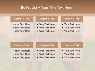 Roe Bock Female PowerPoint Template