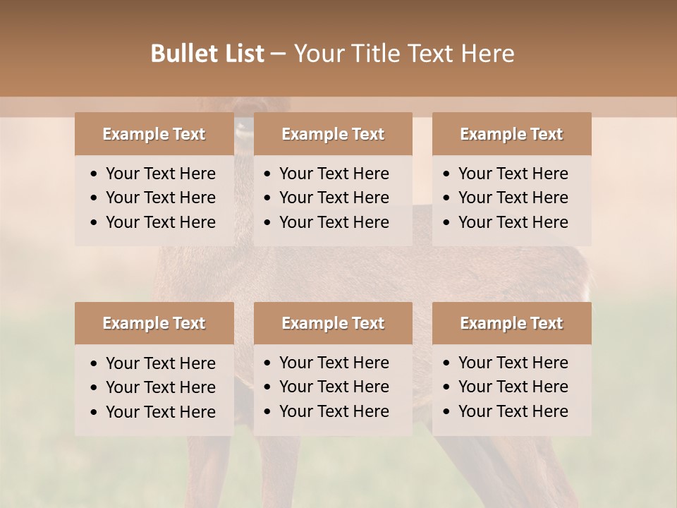 Roe Bock Female PowerPoint Template