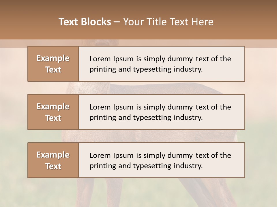 Roe Bock Female PowerPoint Template