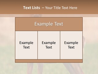 Roe Bock Female PowerPoint Template