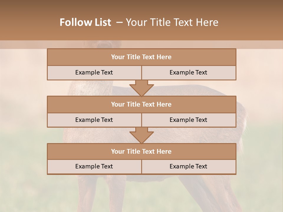 Roe Bock Female PowerPoint Template