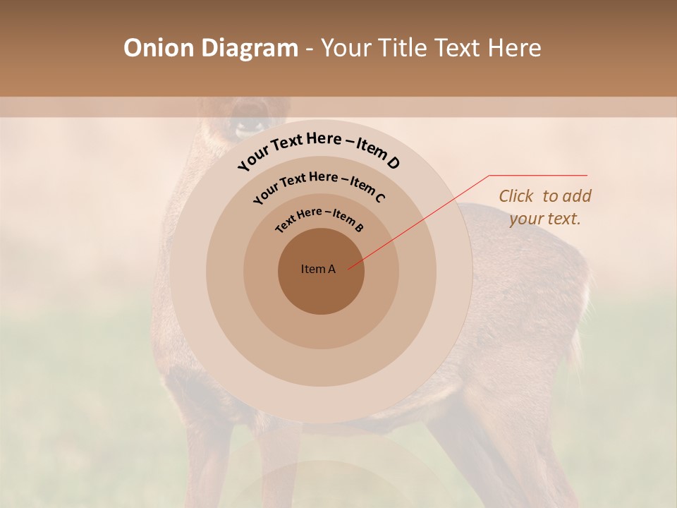 Roe Bock Female PowerPoint Template