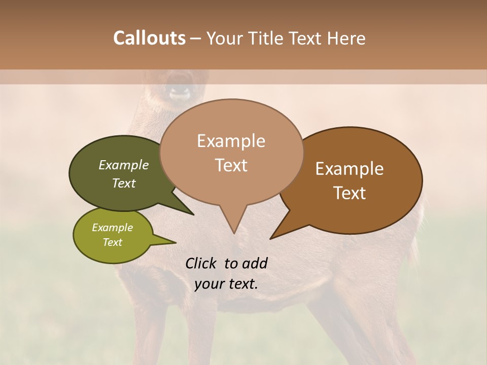 Roe Bock Female PowerPoint Template