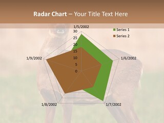 Roe Bock Female PowerPoint Template