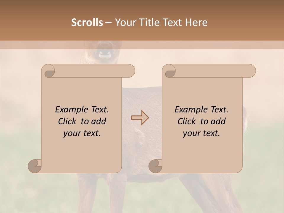 Roe Bock Female PowerPoint Template