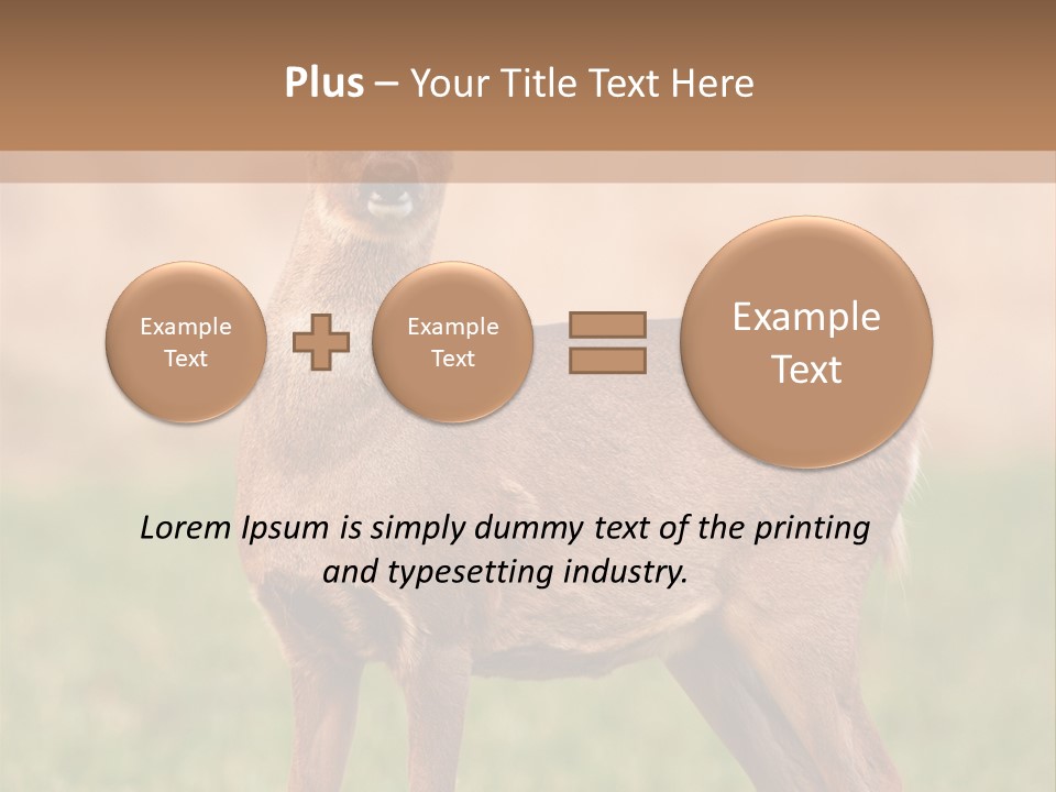 Roe Bock Female PowerPoint Template
