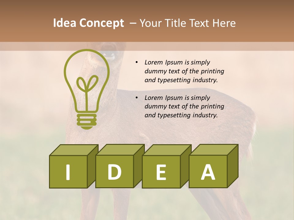 Roe Bock Female PowerPoint Template