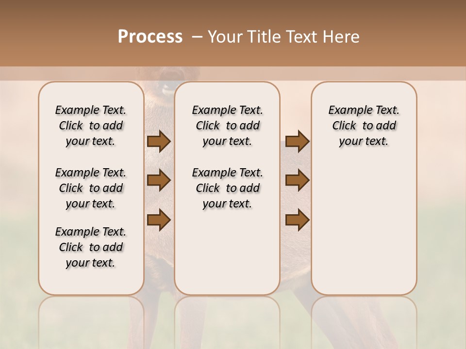 Roe Bock Female PowerPoint Template