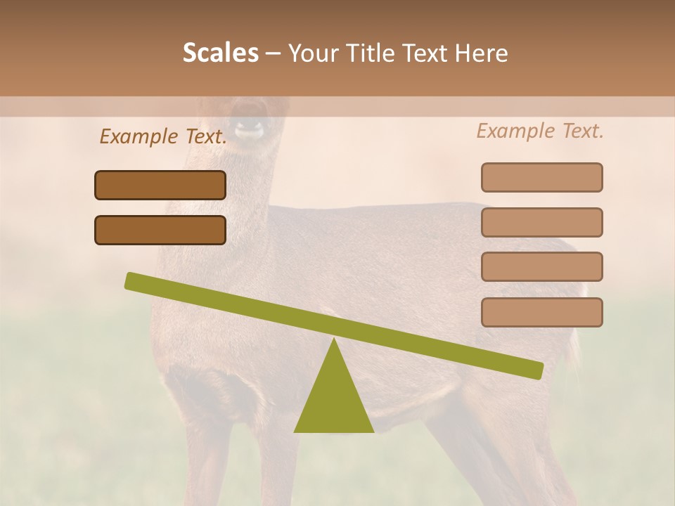 Roe Bock Female PowerPoint Template