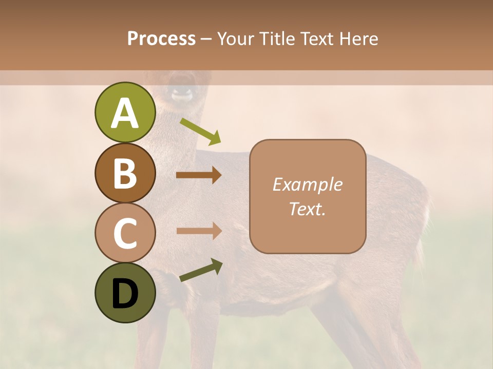 Roe Bock Female PowerPoint Template