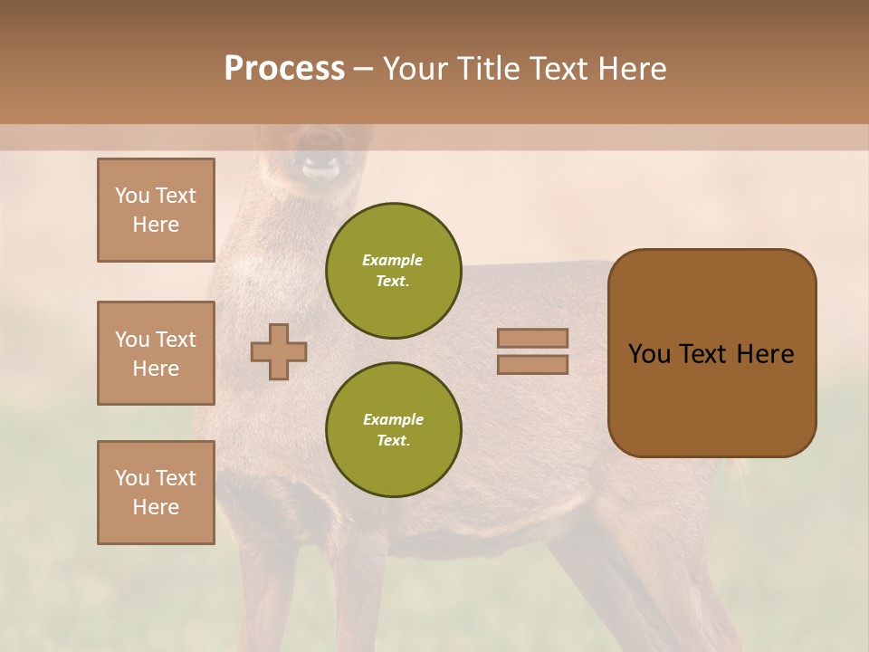 Roe Bock Female PowerPoint Template