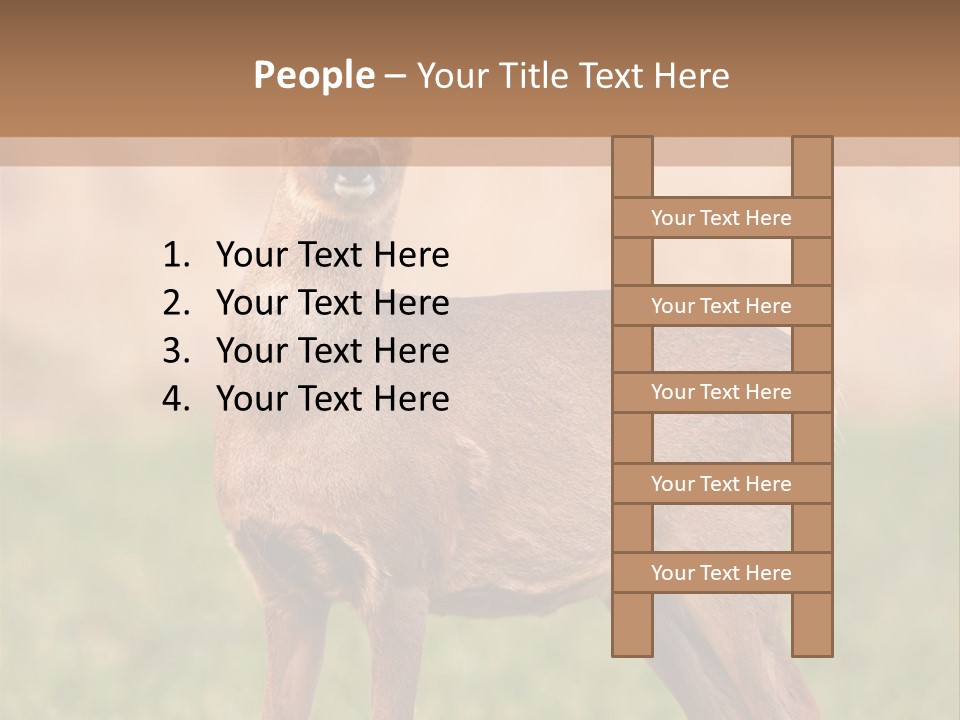 Roe Bock Female PowerPoint Template