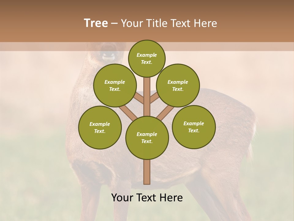 Roe Bock Female PowerPoint Template