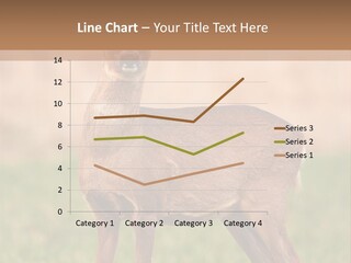 Roe Bock Female PowerPoint Template