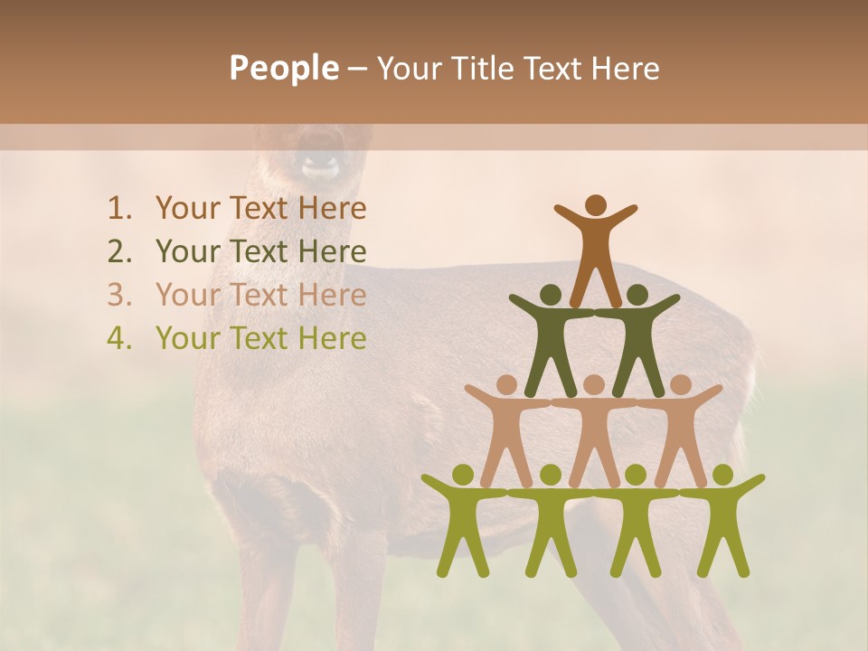 Roe Bock Female PowerPoint Template