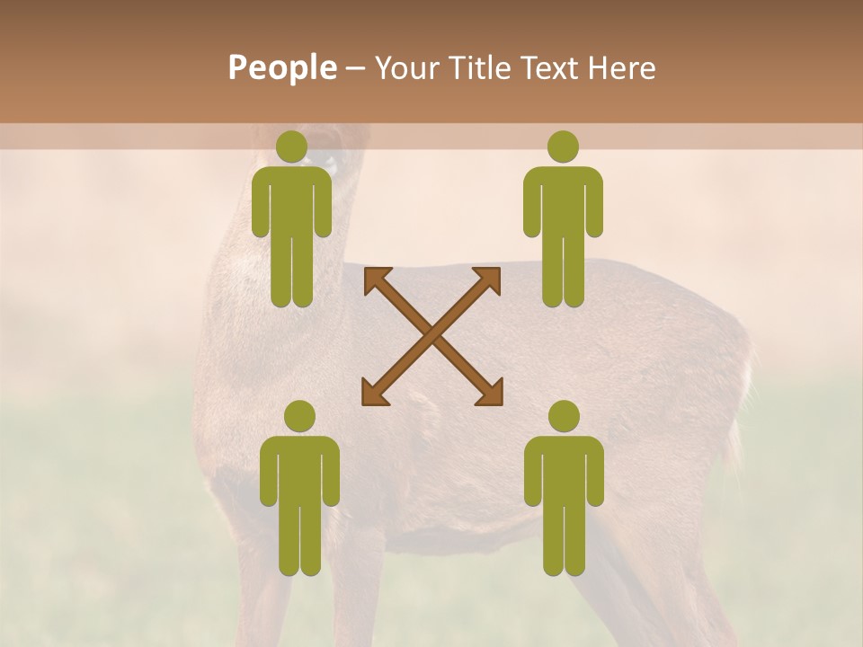 Roe Bock Female PowerPoint Template