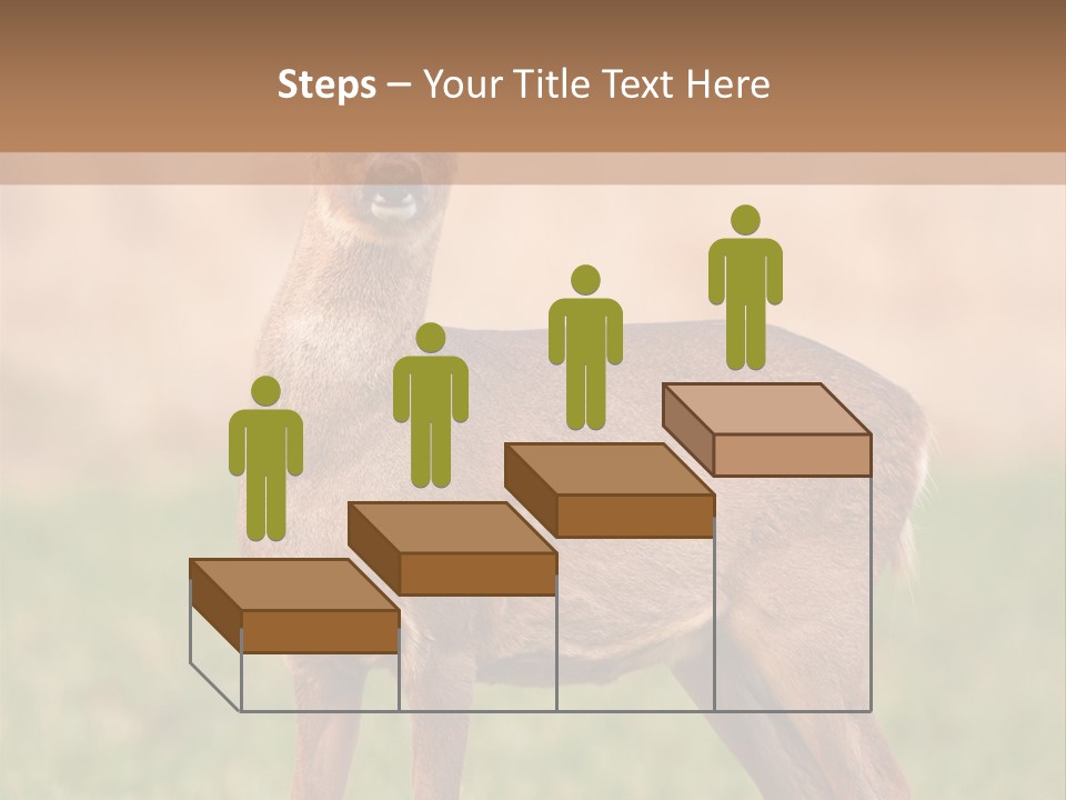 Roe Bock Female PowerPoint Template