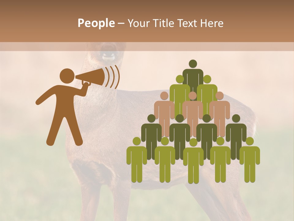 Roe Bock Female PowerPoint Template