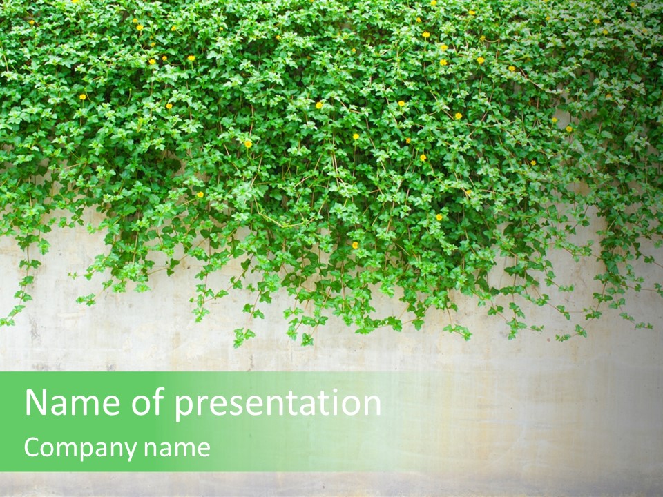 Sunlit Sun Stone PowerPoint Template