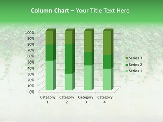 Sunlit Sun Stone PowerPoint Template