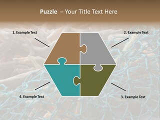 Coastal Life Tarpon Springs Fishing Net PowerPoint Template