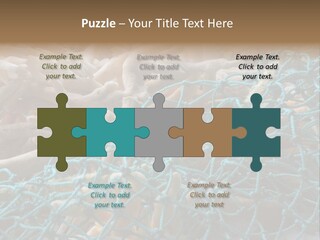 Coastal Life Tarpon Springs Fishing Net PowerPoint Template