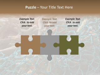 Coastal Life Tarpon Springs Fishing Net PowerPoint Template