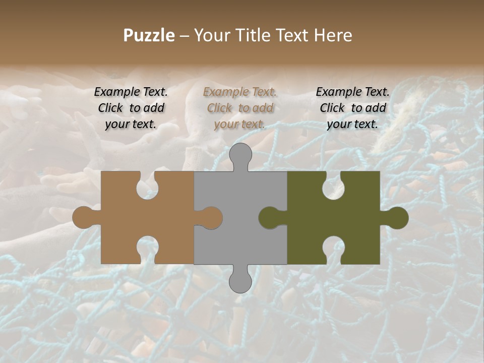 Coastal Life Tarpon Springs Fishing Net PowerPoint Template