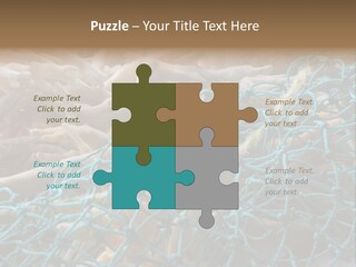 Coastal Life Tarpon Springs Fishing Net PowerPoint Template