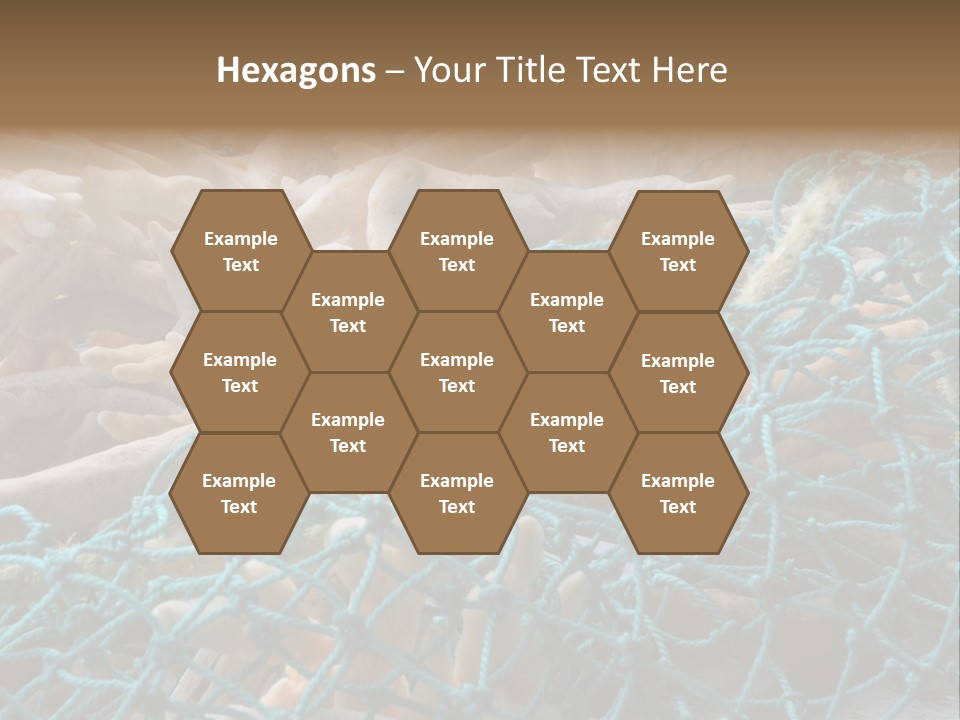 Coastal Life Tarpon Springs Fishing Net PowerPoint Template