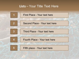 Coastal Life Tarpon Springs Fishing Net PowerPoint Template