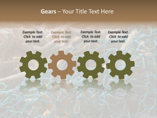 Coastal Life Tarpon Springs Fishing Net PowerPoint Template