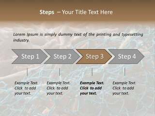 Coastal Life Tarpon Springs Fishing Net PowerPoint Template