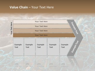 Coastal Life Tarpon Springs Fishing Net PowerPoint Template