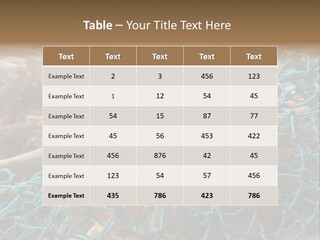 Coastal Life Tarpon Springs Fishing Net PowerPoint Template