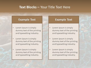 Coastal Life Tarpon Springs Fishing Net PowerPoint Template