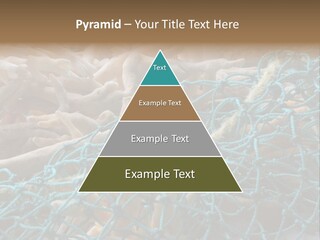 Coastal Life Tarpon Springs Fishing Net PowerPoint Template