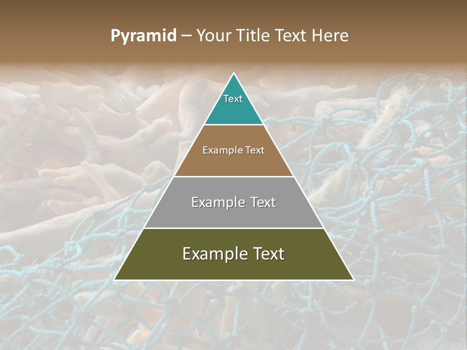 Coastal Life Tarpon Springs Fishing Net PowerPoint Template